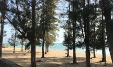 瓦力官网-包含马来西亚队翻盘泰国队，戴资颖状态火热的词条