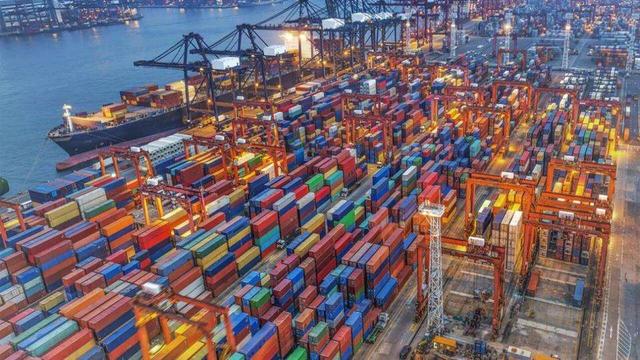 包含立陶宛国家队欧锦赛前途一片光明的词条