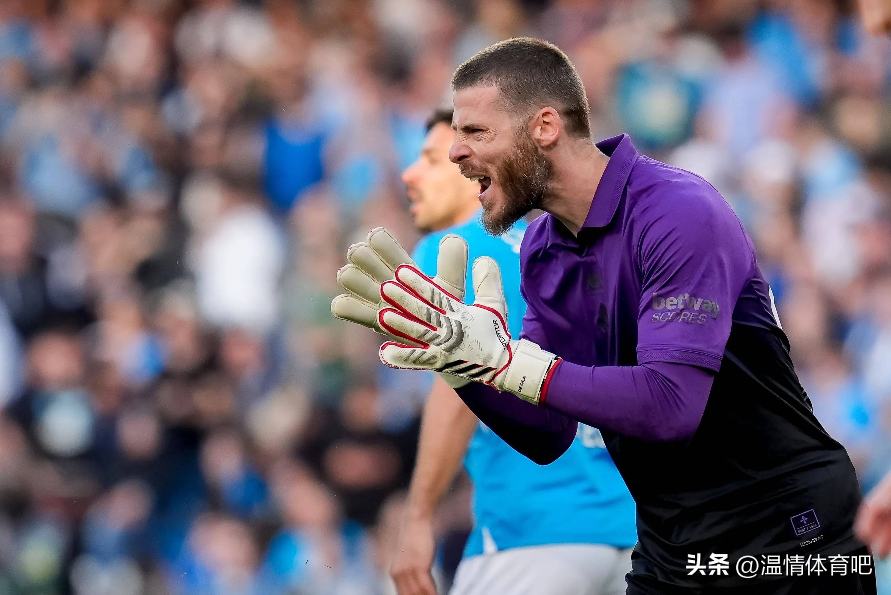 热血球员在意甲赛场挥汗奋战 热血球员在意甲赛场挥汗奋战