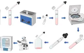 辛辛那提清洗洛瑞，开启复苏模式
