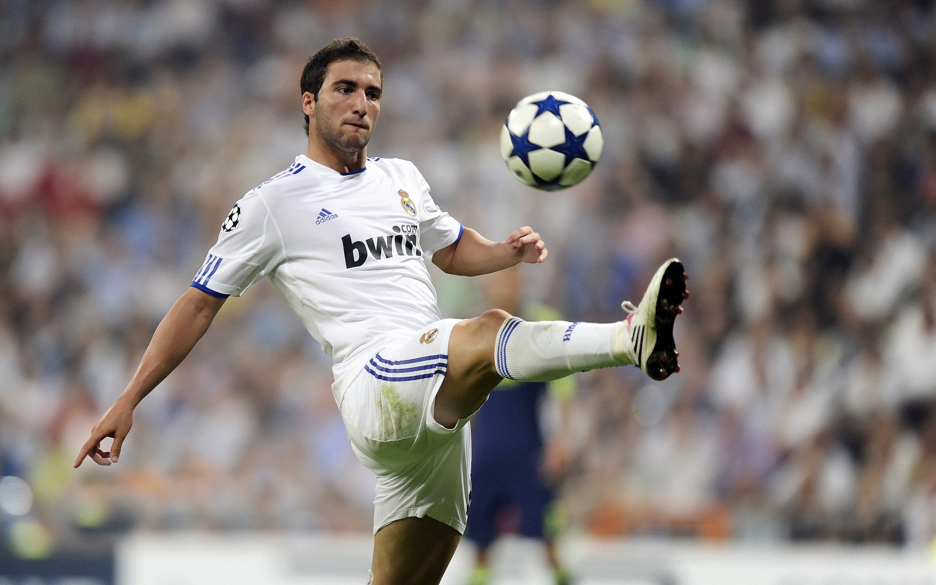 双城记，当广厦铁幕降临CBA，爱德华兹在欧冠燃起燎原之火