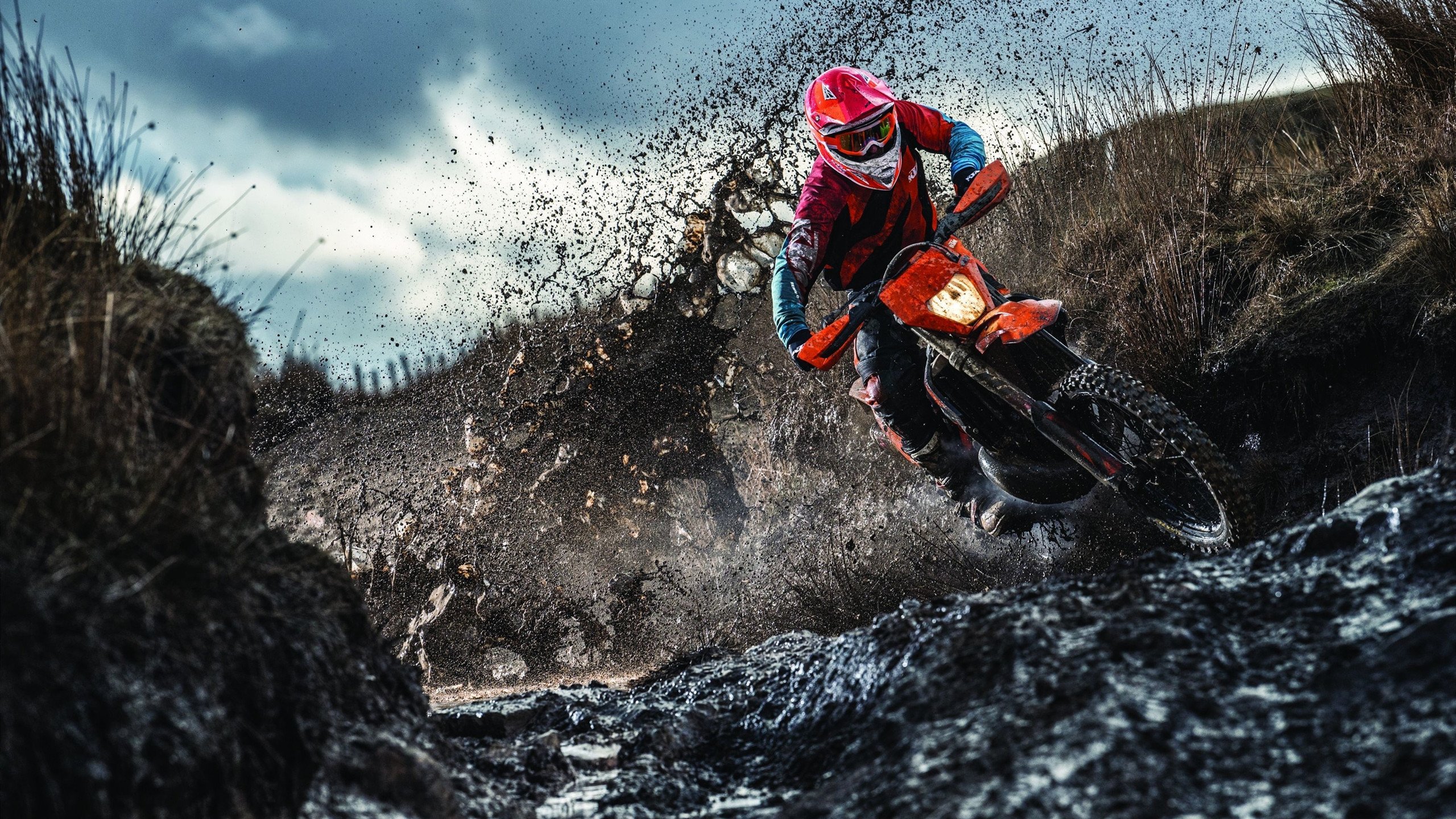 从积分垫底到历史性双分完赛,哈斯上演地球组逆袭,佩雷兹压轴超车秀惊艳全场